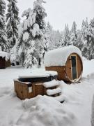 Top Smerekowiec Top Smerekowiec