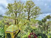 ABODE Backpackers Hostel