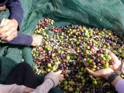 Emarmene Peaceful Agrotourism Retreat with Sea & Mountain Views