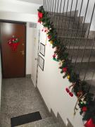 Top Cardano al Campo