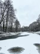 Top Topolina Top Topolina