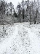 Top Topolina Top Topolina