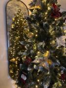 Top Braşov Top Braşov