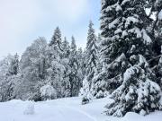 La Dame du Lac à Sevrier