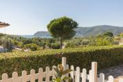 Top Lacona