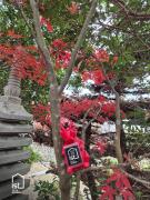 Designer Island Villa with Panoramic Sea Views