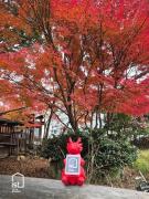 Central Island Villa Near Shops Family Friendly Stay