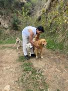 Top Kanethi Top Kanethi