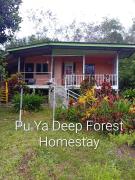 Pu Ya Deep Forest Homestay