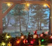 Sworny Bór- całoroczny