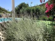 Top Agia Fotia