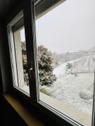 Villa Magnolia Oliveti