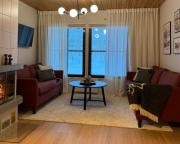 Cozy and Newly Renovated, Single-Level Apartment in Levi