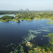 Sigiri Lake Paradise