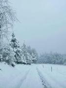 Top Bachórzec Top Bachórzec