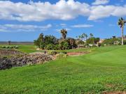 Top San Miguel de Abona