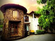 INFINITY Nature villa