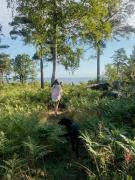 Roslagen Nature Meets Modern Design