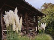 Hay barn unique experience Visole