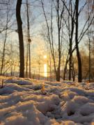 Top Skorochów Top Skorochów