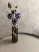 Top Bystrzyca Kłodzka Top Bystrzyca Kłodzka