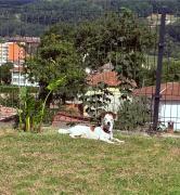 Apartamentos Cangas Relax