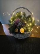 Top Duszniki-Zdrój Top Duszniki-Zdrój