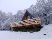 Top Gornji Milanovac