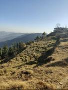 The Peak-Mystic Wilderness