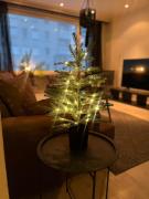 Saunallinen kolmio Tampereen ydinkeskustassa