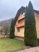Top Vidra