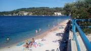 Top Rogač