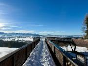 Top Czerwienne Top Czerwienne