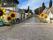 Pietre Gaie Pietre Gaie