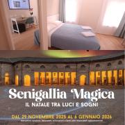 Top Senigallia Top Senigallia