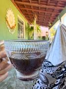 Hostel Ninho das Harpias