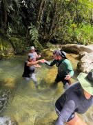 Top Alejandría Top Alejandría