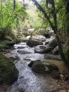 Top Alejandría Top Alejandría