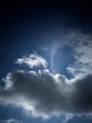 Top Alejandría Top Alejandría