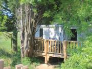 Mobil-home PMR avec Terrasse à Roquebrune-sur-Argens - API-1-52-1138