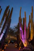 Top Scottsdale