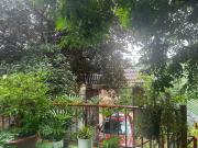 Nhà Sàn Bên Suối