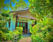 Sumatra Orangutan Discovery Villa