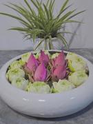 Angkor Rise Residence