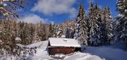 Reh's Wiesen Hütte