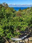 House With Pergola And Stunning Sunset On Elba House With Pergola And Stunning Sunset On Elba