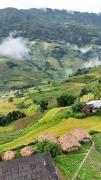 Mu Cang Chai Big view homestay, tour & vegetarian
