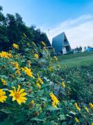 Top Uthai Thani Top Uthai Thani