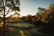 Top Southern Pines