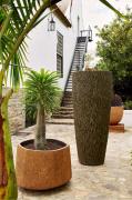Top Tulbagh
